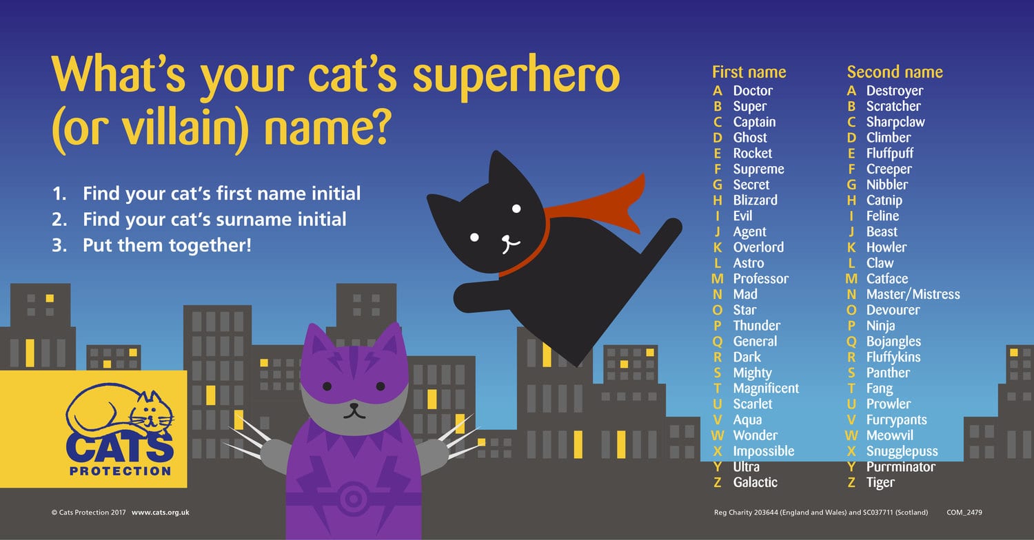 Cat Superhero Name Generator Enchanted Little World